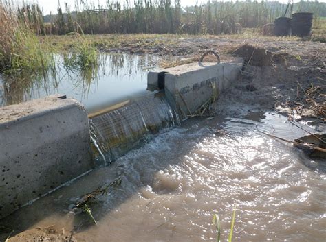 Water filters can fight dead zones without hindering farm production | Growing Returns