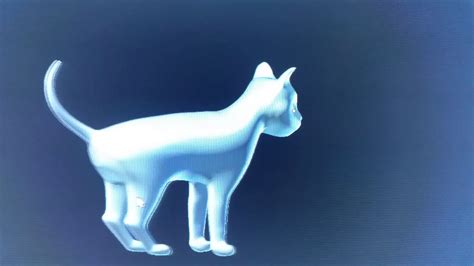 3d cat model in blender - YouTube