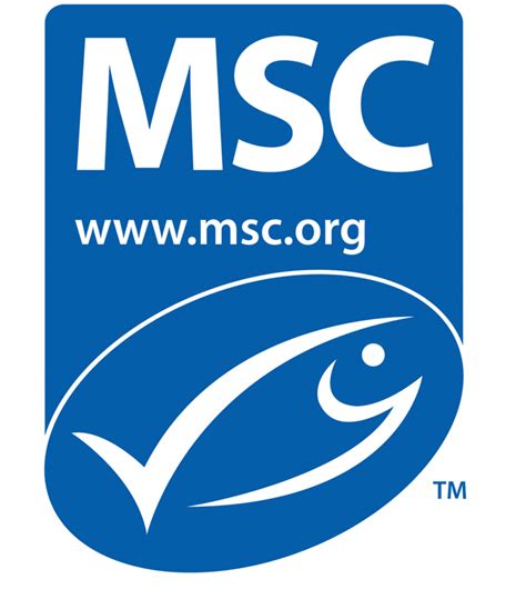 MSC Logo - LogoDix