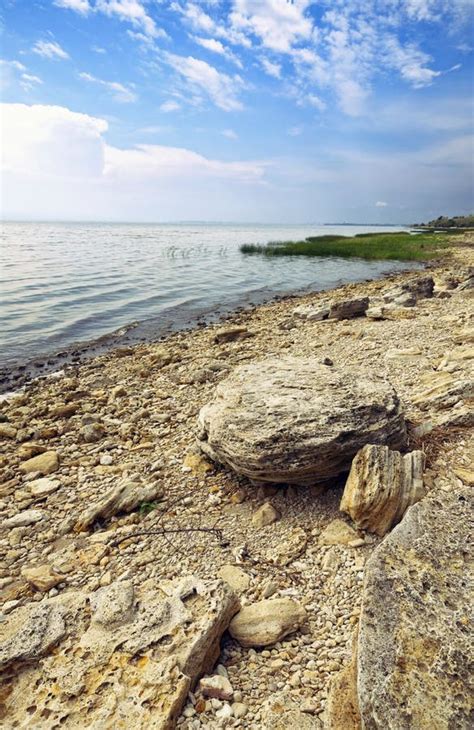 Coast of the Taganrog Bay of the Azov Sea on a Hot Sunny Summer Day. Coastline with Reeds and ...