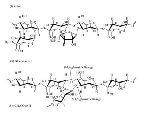 Chemical structure of hemicellulose compounds (xylan and glucomannan... | Download Scientific ...