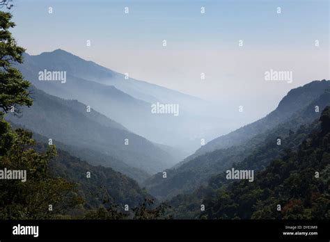 Morning view across the Nilgiri Hills, Tamil Nadu, India Stock Photo - Alamy