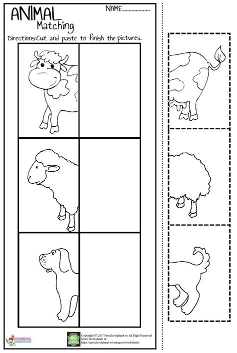 Zoo Animals Worksheets For First Grade