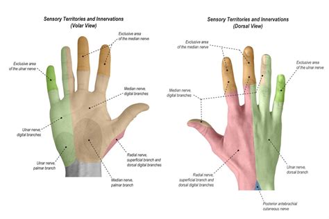 Ortho Case: Finger Injury — Kwak Talk