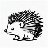 Porcupine Outline Black And White cute coloring book  Premium AI sketch template
