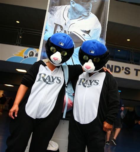 July 21, 2018 Tampa Bay Rays - DJ Kitty Mascot Head - Stadium Giveaway ...