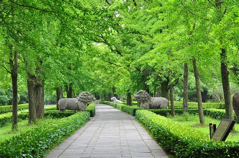 钟山风景名胜区_360百科