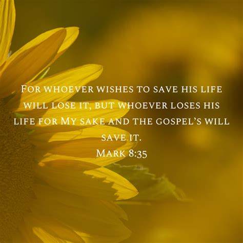 Mark 8 35 for whoever wishes to save his life will lose it but whoever loses his life for my ...