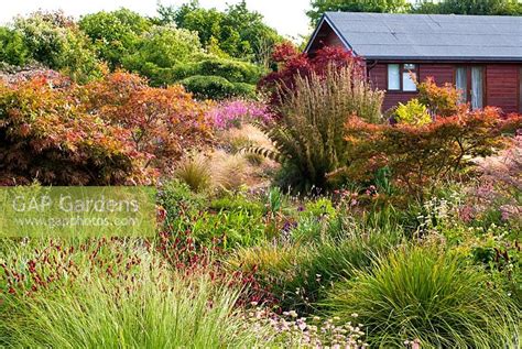 Wildside Garden Buckland Monachorum Devon | Fasci Garden