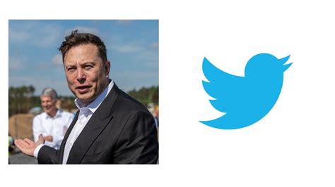 How Elon Musk's Tweets Affect Investors and the Stock Market