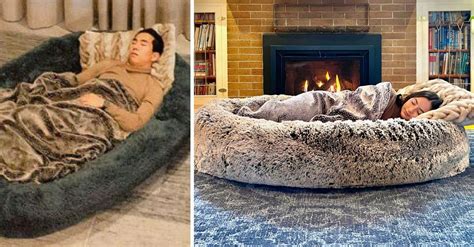 You can get a Giant Dog Bed for Humans - for the Ultimate Napping Spot. Giant Fluffy Dog, Giant ...