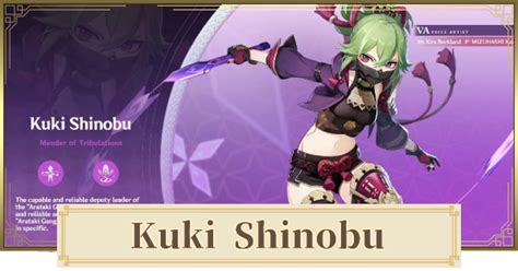 Kuki Shinobu Best Build & Team | Genshin Impact - GameWith