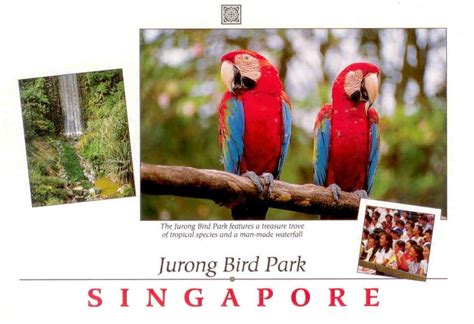 Jurong Bird Park and waterfall – Global Postcard Sales