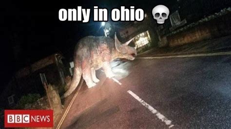 Only in Ohio meme by GabrielMejia1999 on DeviantArt