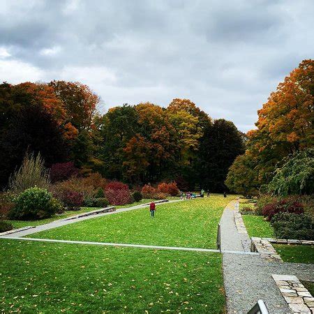 Arnold Arboretum (Boston) - 2021 All You Need to Know BEFORE You Go (with Photos) - Tripadvisor