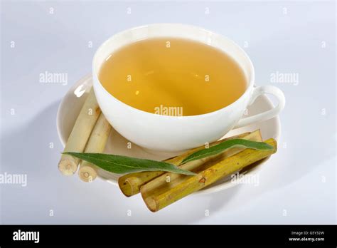 White willow bark tea hi-res stock photography and images - Alamy