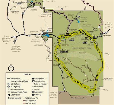 Custer State Park Wildlife Loop: How to See Amazing Wildlife