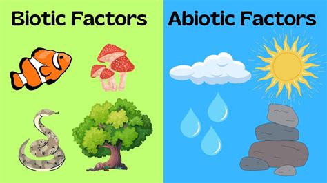 Biotic Factors Pictures