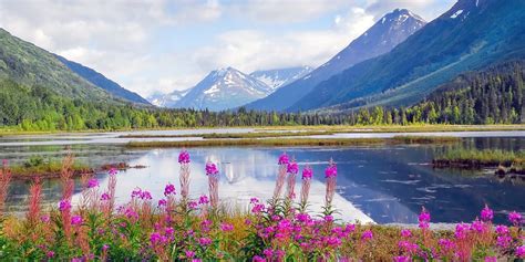 Lowest Price We've Seen: Alaska 2021 Summer Cruises | Travelzoo