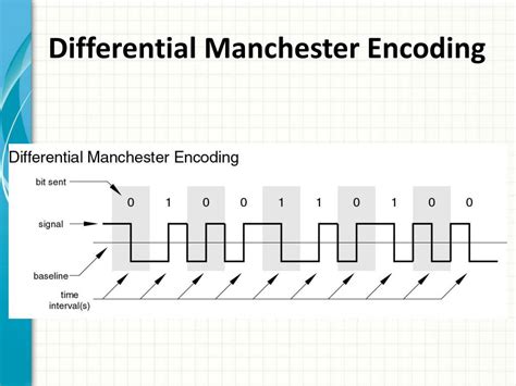 PPT - Signal Encoding Techniques PowerPoint Presentation, free download ...