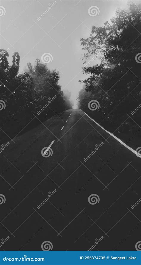 Foggy Dark Road...in Morning Stock Image - Image of enjo, dark: 255374735