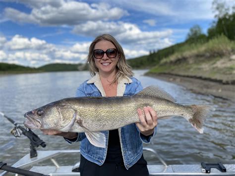 North Saskatchewan River walleye! Alberta, Canada : r/Fishing