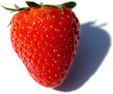 File:Fragaria Fruit Close-up.jpg - Wikipedia