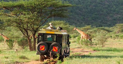 Luxury Tanzania Safari Tours: The Ultimate African Experience