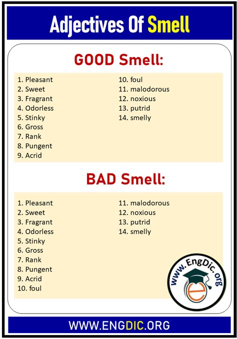 Adjective of Smell, Good and Bad Smell Adjectives - EngDic