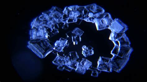 Microscope Time Lapse Salt Crystallization No.025 Stock Footage Video 4483838 - Shutterstock