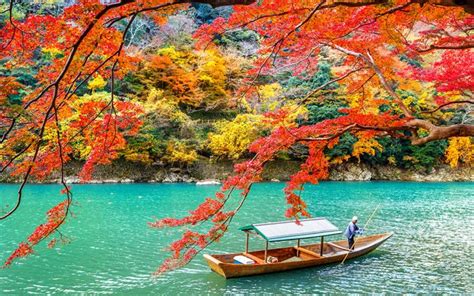 Download wallpapers Arashiyama park, Kyoto, autumn, yellow trees ...