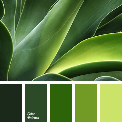 forest green | Color Palette Ideas