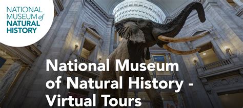 National Museum of Natural History – Virtual Tours – All Things Girl Scouts