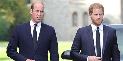 Prince William, Harry Teamed up for Princess Diana Award Amid Rift ...