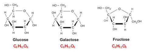 [SOLVED] Why are glucose fructose and galactose known as isomers - Self Study 365