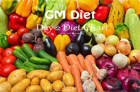 GM Diet Plan Vegetarian Diet Chart: My Daily Meal Plan & Experience! - Heart Bows & Makeup