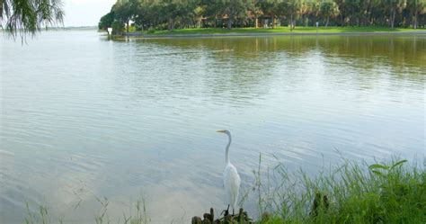 Lake Seminole Park - Pinellas County