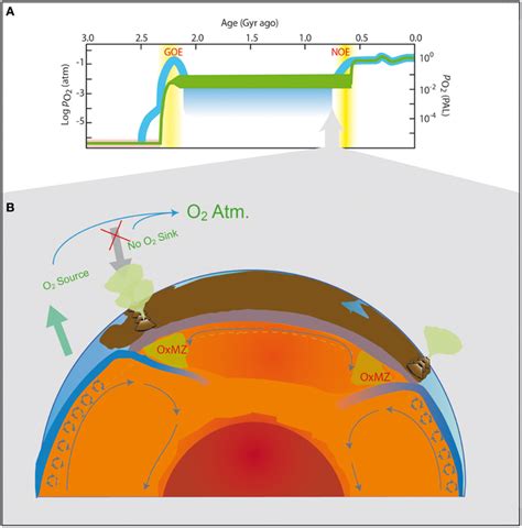 Frontiers | Is the Neoproterozoic oxygen burst a supercontinent legacy?