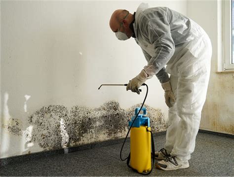 Mold Removal Leads | Mold Remediation Leads Online – Service Direct