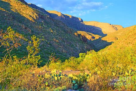 Dog Canyon NM Oliver Lee Memorial State Park Photograph by Roena King - Fine Art America