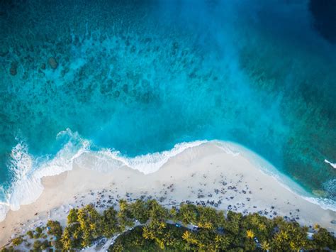 wallpaper island, beach, palm trees, sea, aerial view HD : Widescreen ...