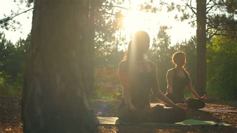 Yoga in forest Footage | Stock Clips