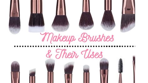 Types Of Makeup Brushes And Their Names - Infoupdate.org