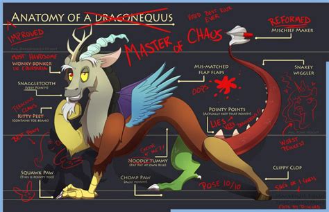 Anatomy of a Draconequus by GhostlyMuse on DeviantArt Desenhos, Chao, Fluttershy, Quadrinhos Meu ...