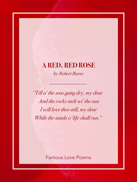 Read The 55 Best Poems About Love for Every Occasion