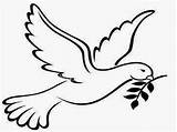 Hudtopics Coloring Pages Religious Dove With Branch sketch template