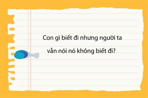 5 câu đố vui thách thức tốc độ trả lời của bạn