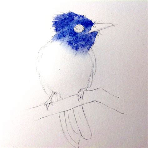 How to Paint a Bird: 3-Step Tutorial | Craftsy