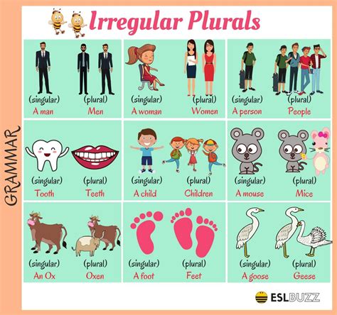 The Most Common Irregular Plural Nouns in English | Irregular plurals ...