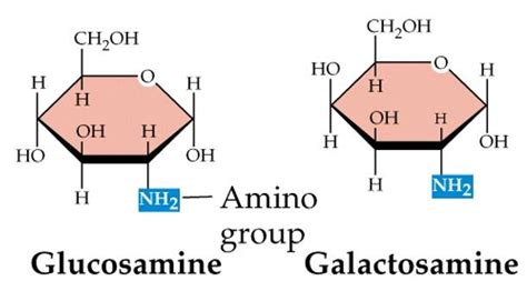 Amino Sugars Analysis Service - Creative Proteomics